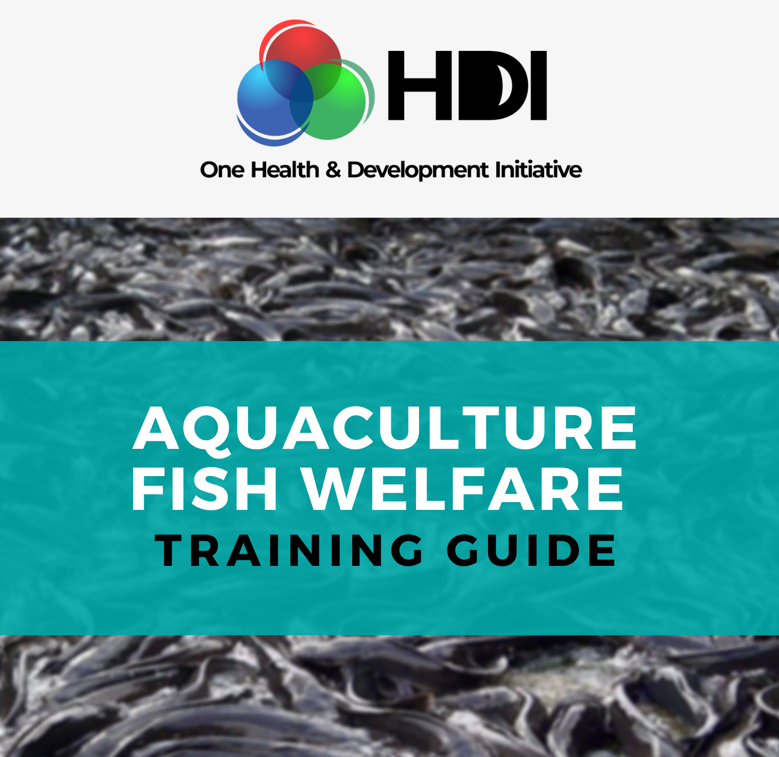 OHDI Launches Fish Welfare Training Guide