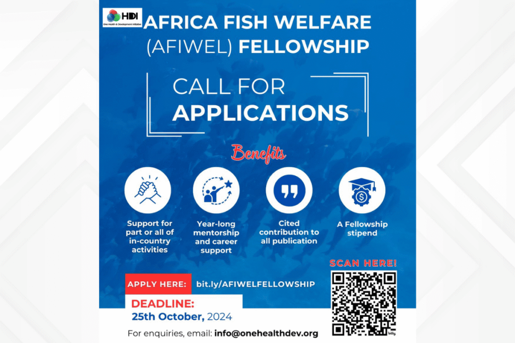 Cal for applications AFIWE fellowship
