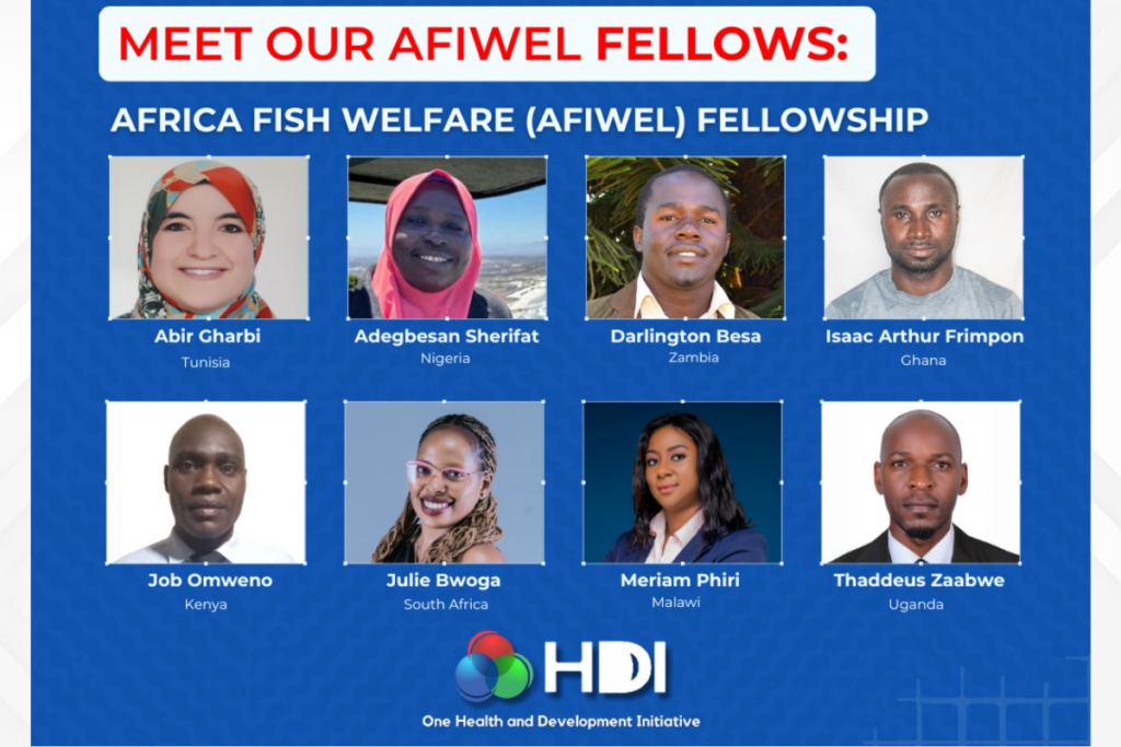 AFIWEL Fellows