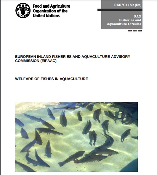 Welfare of Fishes in Aquaculture