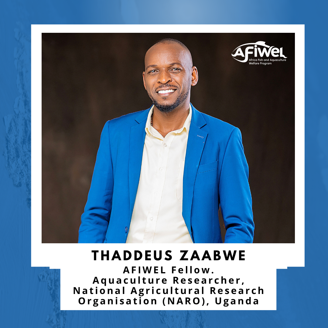 Driving Fish Welfare in Uganda: The Impact of AFIWEL Fellow Thaddeus Zaabwe