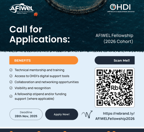 Call for Applications: AFIWEL Fellowship (2026 Cohort)