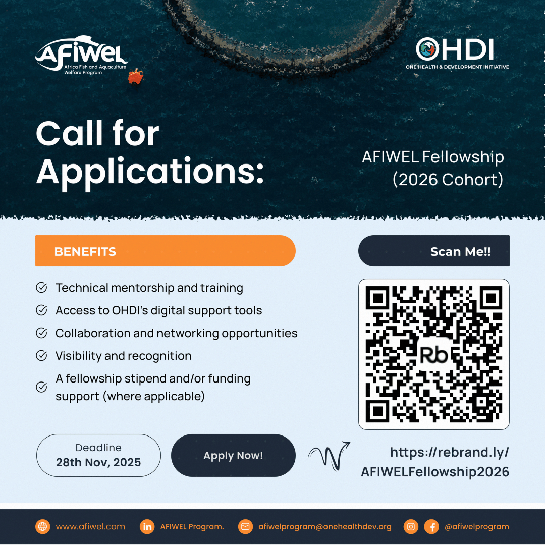 Call for Applications: AFIWEL Fellowship (2026 Cohort)