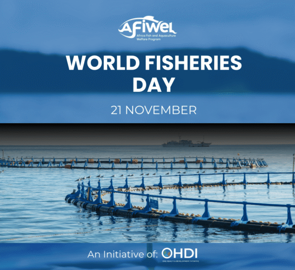 World Fisheries Day 2025: AFIWEL Advancing Fish Welfare in Africa