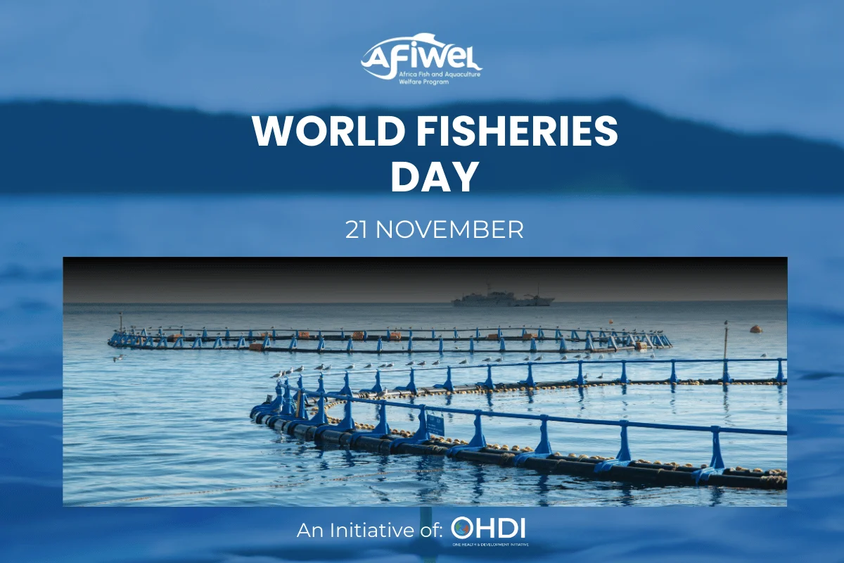 World Fisheries Day 2025: AFIWEL Advancing Fish Welfare in Africa