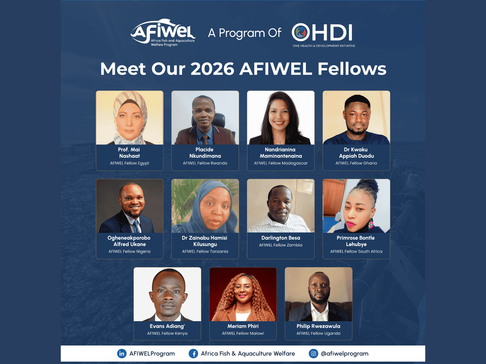 Meet the 2026 AFIWEL Fellows